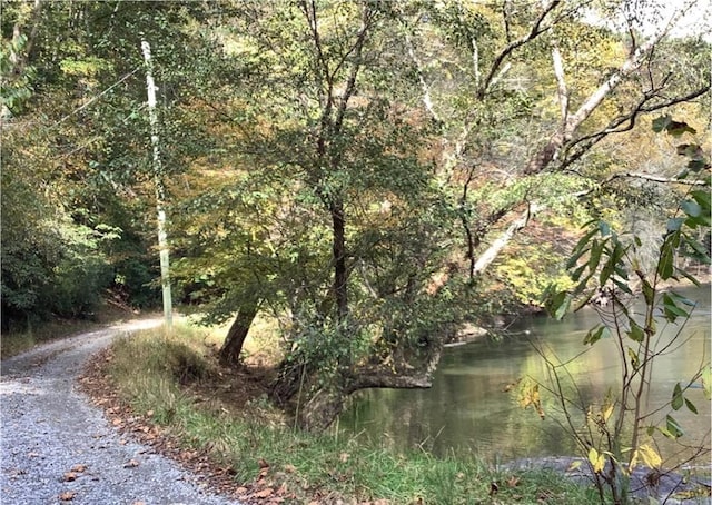 0 Pacer Ct, Ellijay, GA 30540
