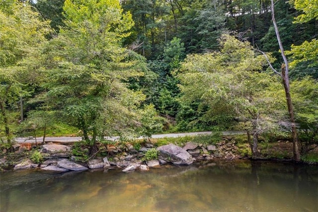 0 Pacer Ct, Ellijay, GA 30540