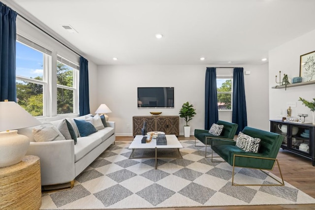 living room featuring light hardwood / wood-style flooring and a healthy amount of sunlight