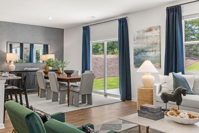 living room with light wood-type flooring and a wealth of natural light