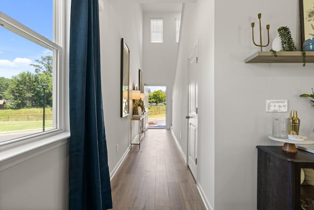 hallway featuring hardwood / wood-style floors