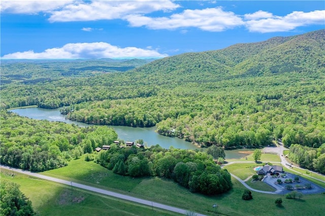 drone / aerial view featuring a water and mountain view