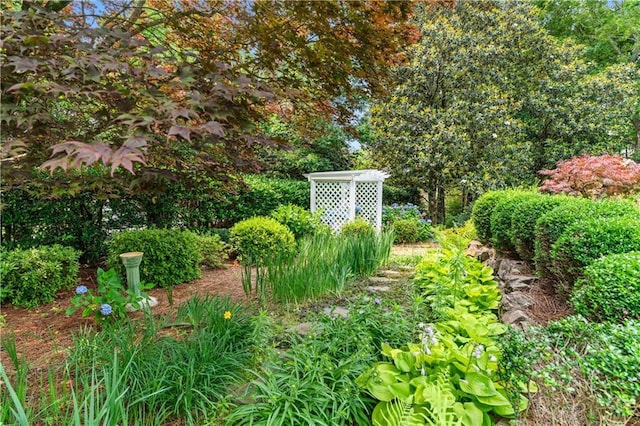 2117 Stephens Walk, Dunwoody, GA 30338 - view of yard