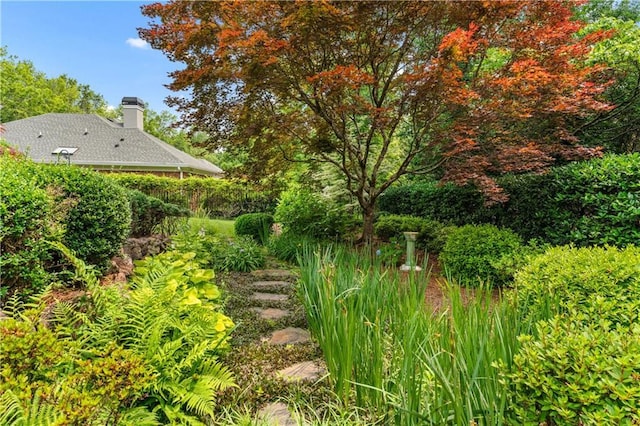 2117 Stephens Walk, Dunwoody, GA 30338 - view of yard
