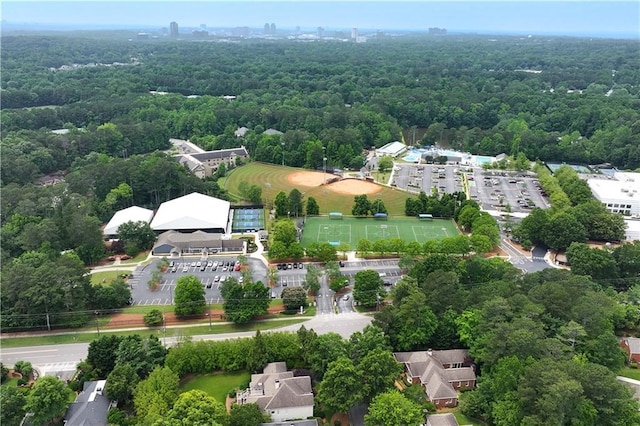 2117 Stephens Walk, Dunwoody, GA 30338 - bird's eye view of a forest