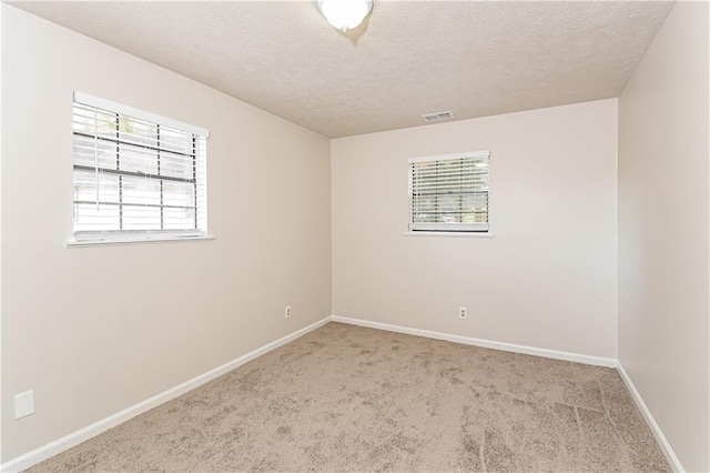 unfurnished room featuring light carpet, a textured ceiling, and a healthy amount of sunlight