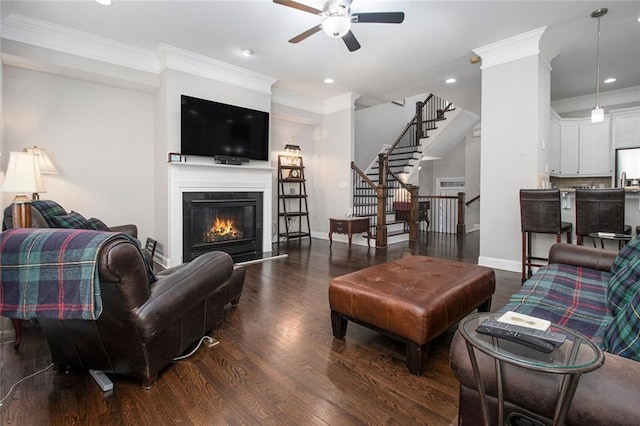 living room featuring ceiling fan, dark hardwood / wood-style flooring, and crown molding