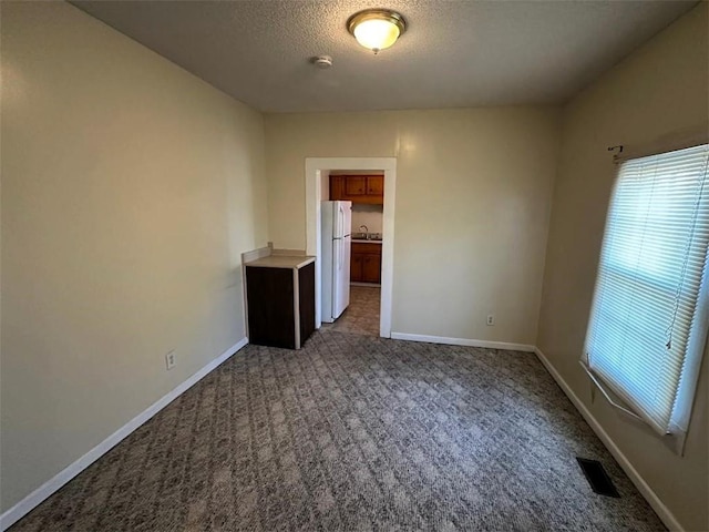 carpeted spare room with sink and a textured ceiling