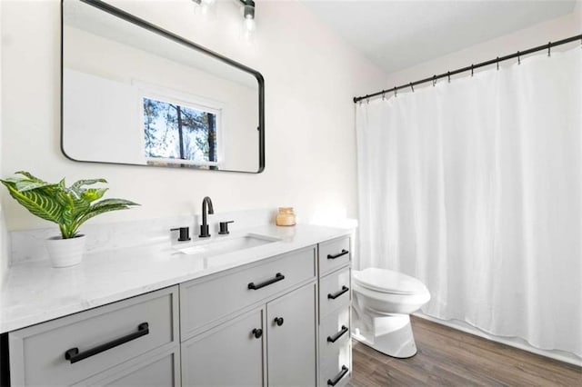 bathroom featuring toilet, wood-type flooring, and vanity