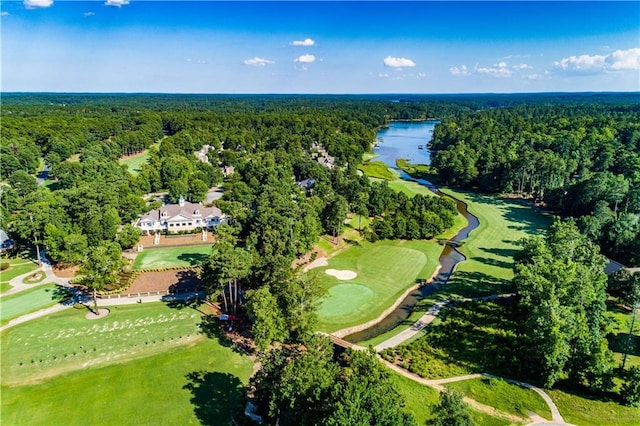 birds eye view of property featuring a water view and a forest view