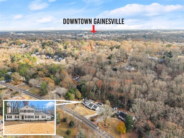 669 Dixon Dr, Gainesville, GA 30501 - bird's eye view of a forest