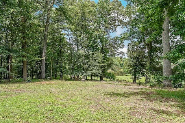 527 Gaddis Rd, Canton, GA 30115 - view of green lawn