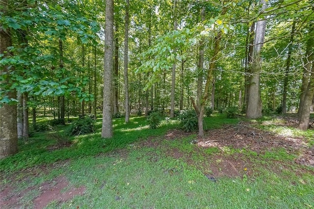 527 Gaddis Rd, Canton, GA 30115 - view of tree filled area