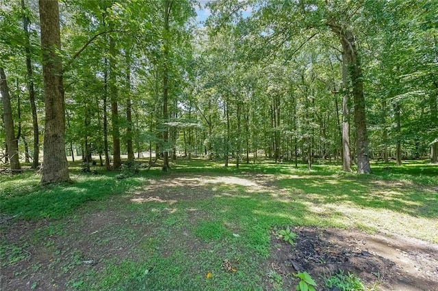 527 Gaddis Rd, Canton, GA 30115 - view of yard with a view of trees