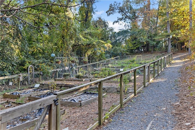 662 Timm Valley Rd NE, Atlanta, GA 30305 - view of yard featuring a garden