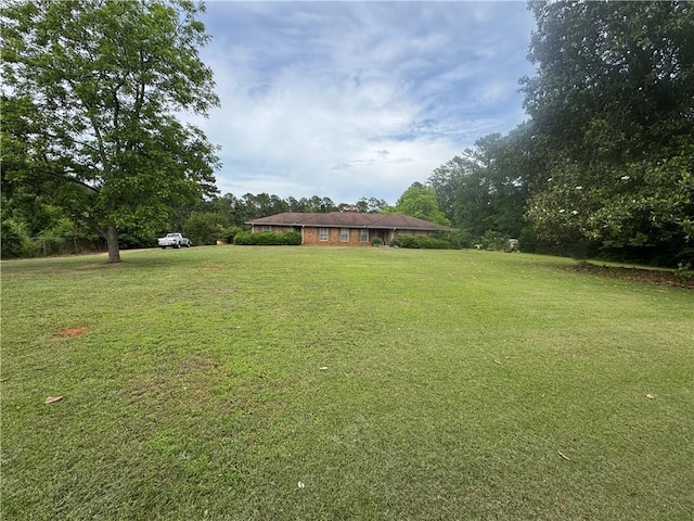 view of grassy yard