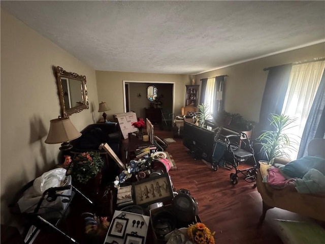 living room with wood finished floors and a textured ceiling