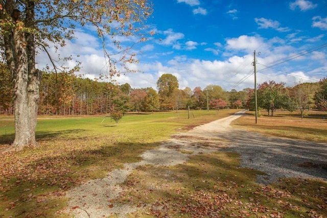 view of property's community with a yard