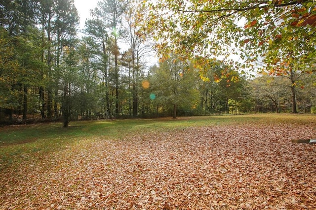 view of yard featuring a wooded view