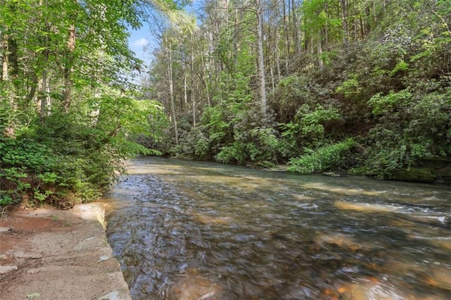 1102 Soque Wilderness Rd, Clarkesville, GA 30523 - view of yard