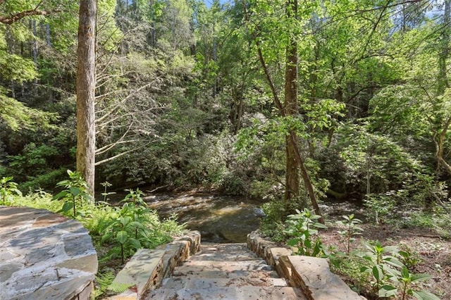 1102 Soque Wilderness Rd, Clarkesville, GA 30523 - view of wooded area