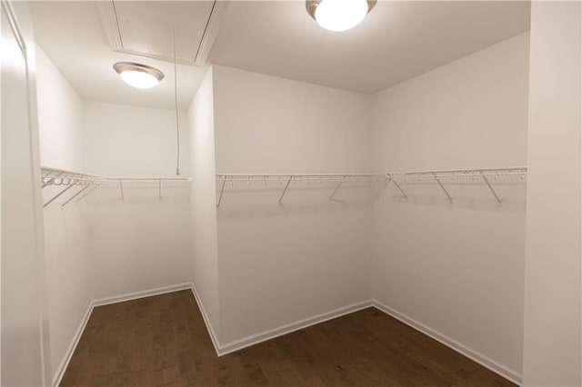 709 Dodd Ln Unit 165, Buford, GA 30518 - walk in closet with attic access and dark wood-type flooring