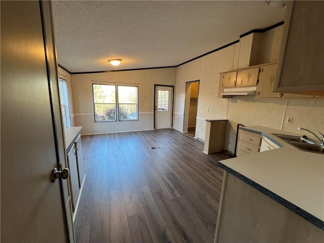 kitchen featuring a sink, a textured ceiling, dark wood-style floors, and ornamental molding