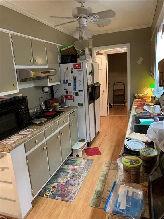 kitchen featuring cooktop, crown molding, ceiling fan, and light wood-type flooring