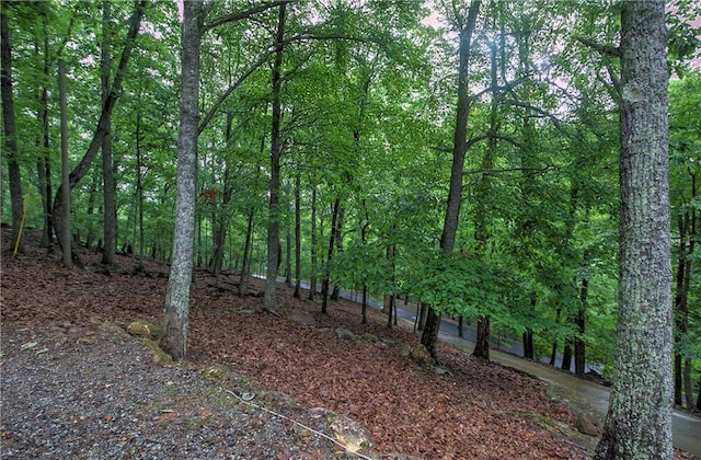 view of wooded area