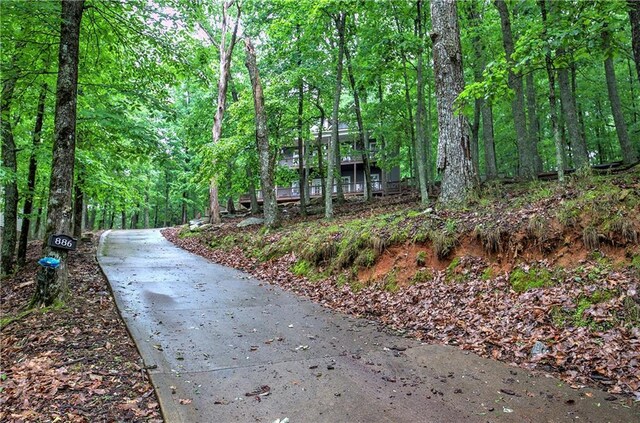view of community featuring driveway and a forest view