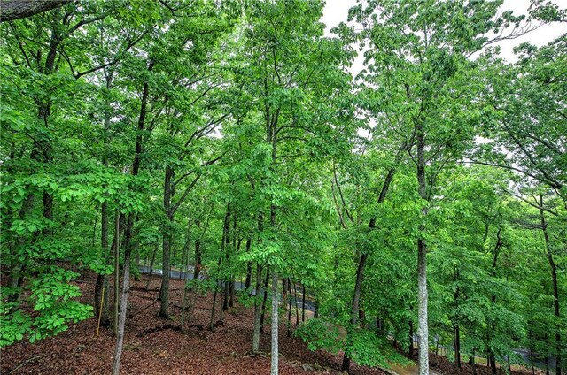 view of woods