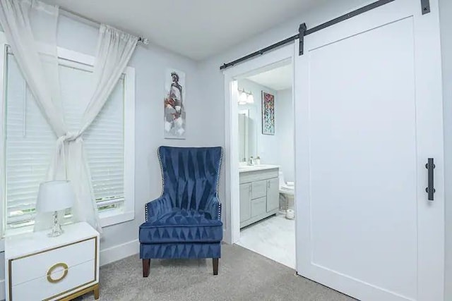 sitting room featuring sink, light colored carpet, and a barn door