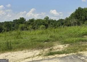 2171 Ga Highway 133, Moultrie GA, 31768 land for sale