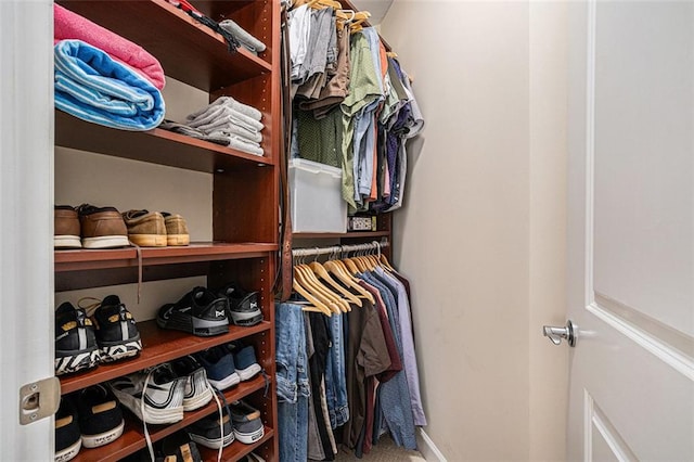 walk in closet with carpet flooring