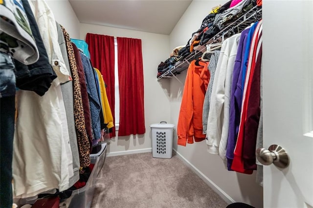 walk in closet with dark colored carpet