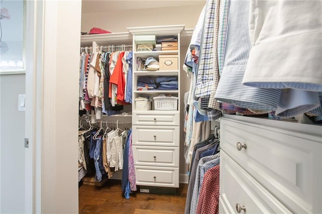 3678 Cresswind Pkwy SW, Gainesville, GA 30504 - walk in closet with dark wood-style floors