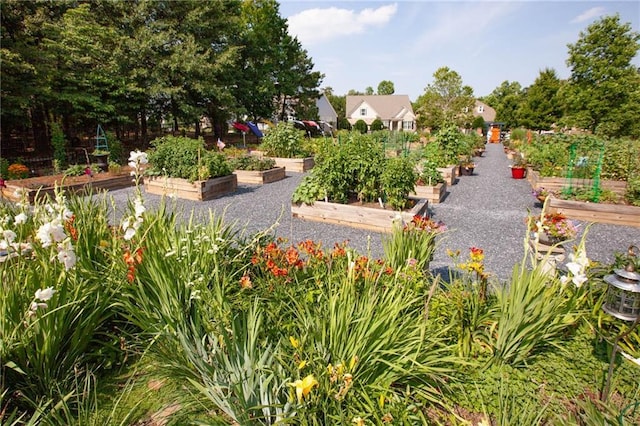 3678 Cresswind Pkwy SW, Gainesville, GA 30504 - view of yard featuring a garden