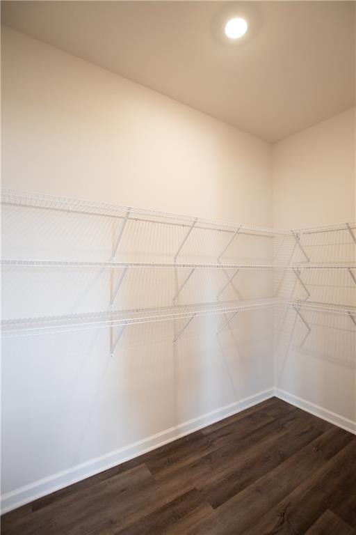 spacious closet featuring dark hardwood / wood-style floors