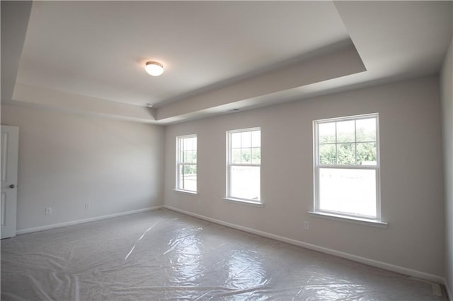 unfurnished room with a raised ceiling