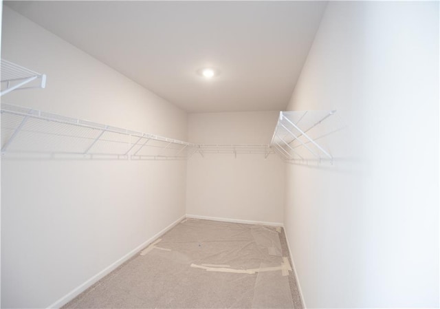 spacious closet featuring light carpet