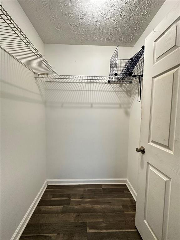 spacious closet featuring dark hardwood / wood-style floors