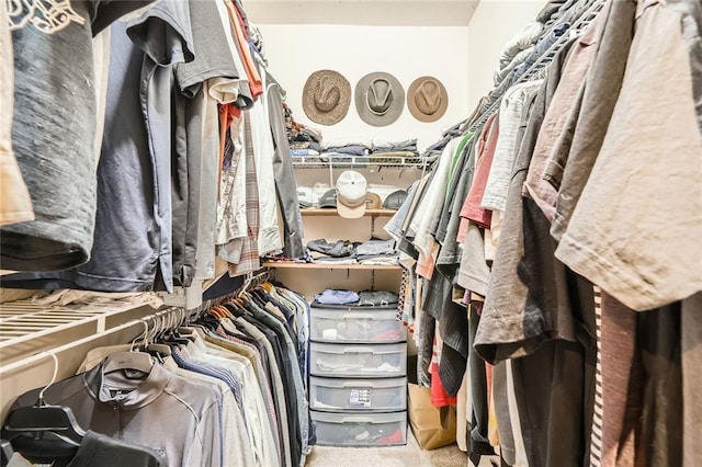 3777 Peachtree Rd NE Unit 438, Brookhaven, GA 30319 - view of walk in closet