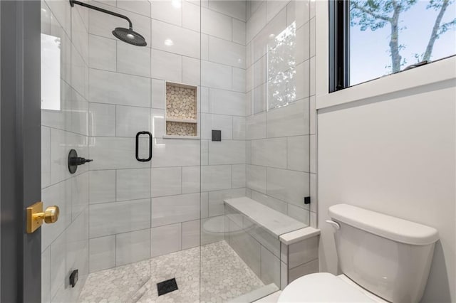 146 Overlook Way, Blue Ridge, GA 30513 - bathroom featuring toilet and a shower stall