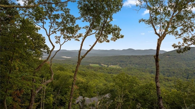 146 Overlook Way, Blue Ridge, GA 30513 - view of mountain backdrop featuring a heavily wooded area