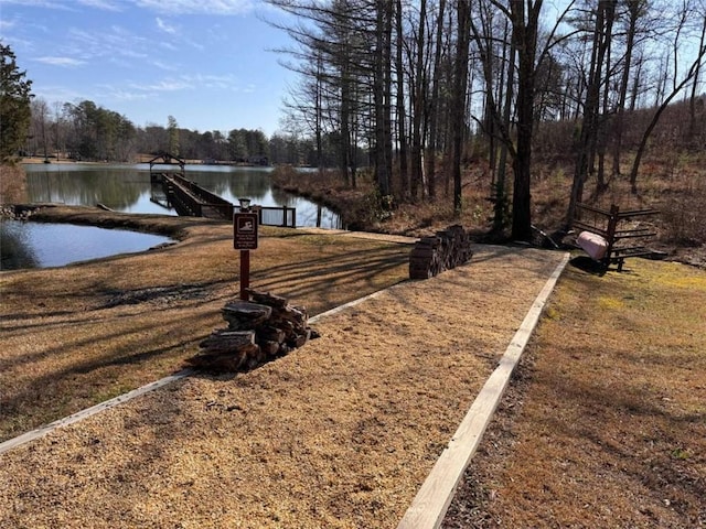 view of yard with a water view and a dock