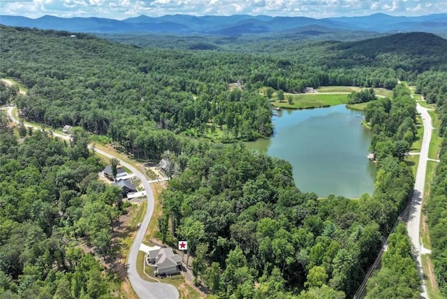 aerial view with a water and mountain view