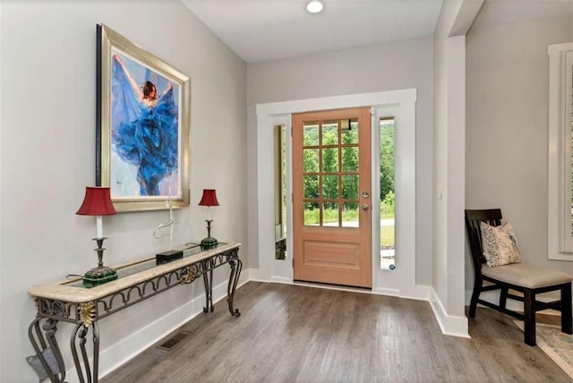 entryway featuring wood-type flooring