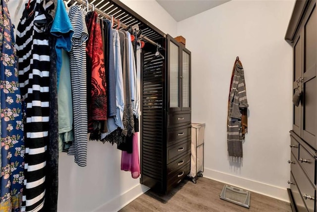 walk in closet with hardwood / wood-style flooring