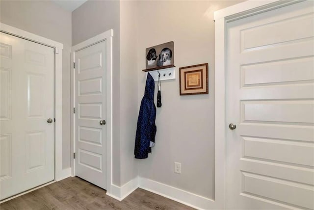 doorway to outside featuring wood-type flooring