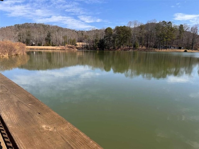 view of water feature